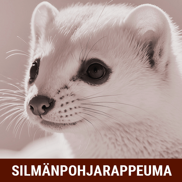 Kuva lumikosta - silmänpohjarappeuma