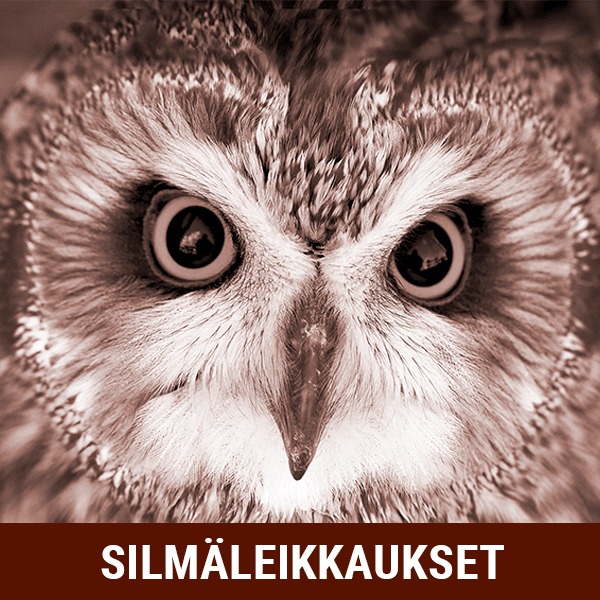 Kuva Pöllöstä - Silmäleikkaukset